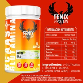 Aminoácidos Bcaas  Glutamina Fenix Protein 1kg Sabores