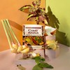 Fusion Flavors Dips and Seasonings Variety Packs - Variety 6