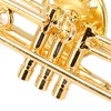 Gold Miniature Trumpet Shaped Lapel Brooch Pin Brass Exquisite Mini