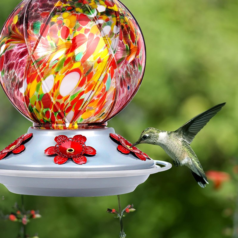Hummingbird Feeder