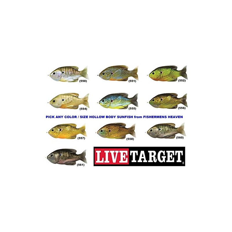 LIVE TARGET Hollow Body Sunfish, One Size, Blue / Yellow