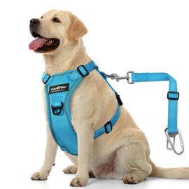 VavoPaw Dog Seat Belt Harness for Car, Dog Car Harness Adjustable Mesh Breathable & Dogs Seatbelt Safety Tether with Elastic Bungee for Small Medium Large Pets(Blue, L)