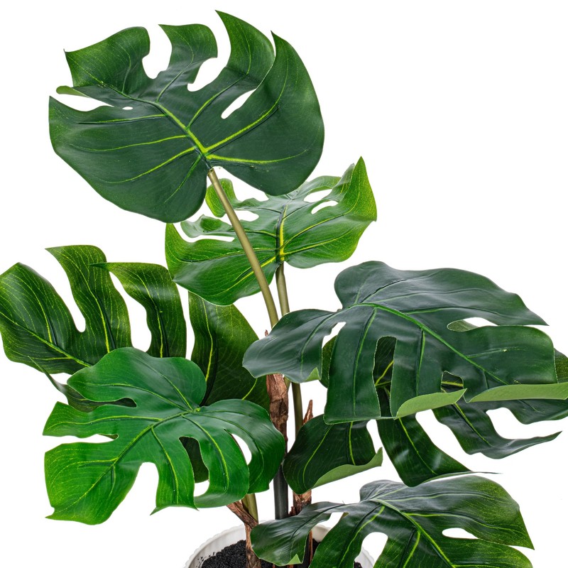 Vickerman 18" Green Monstera Plant x7 in White Pot.