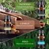 Aceites Esenciales de Aromaterapia 12PCS,100% Natural, para Difusores