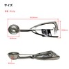 Takagi Stainless Steel Ice Disher #22, 20cc, Made in Japan