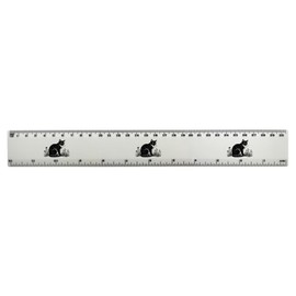 'Cat in Garden' 30cm (12 Inch) White Plastic Ruler (RL00089572)