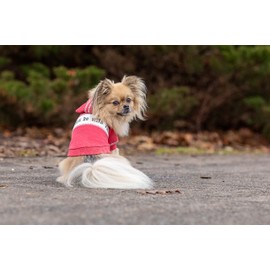 UPZ Slogan Maroon Red Dog Hoodie| Matching Dog with Owner| Available in Extra Small to Extra Large. Comfortable & Versatile Dog Hoodies Dog (12)