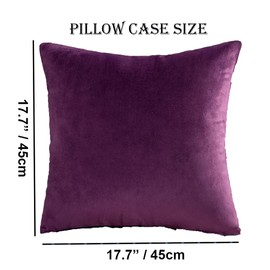 Throw Pillow Cover Velvet Purple - 18 x 18 Inch Purple Pillow Cushion Cover - Set of 2 Square Eggplant Cushion Case, Gift for Sofa, Chair, bedroom and Nordic Home Decor (Eggplant Purple, 18"x18")
