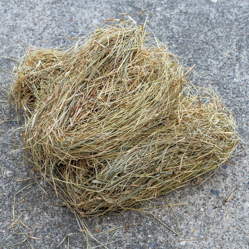 Woodside Hedgehog House Nesting Material 400g – 100% Natural Straw