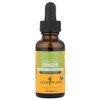 Herb Pharm Herb Pharm Ginger 1 fl oz 30ml supplement, Herb Pharm Ginger 598 mg 1 fl / Herb Pharm 허브팜 진저 1 fl oz 30ml 보충제, Herb Pharm Ginger 598 mg 1 fl