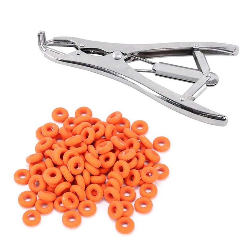 100Pcs Rubber Elastic Sheep Cow Pig Tail Castration Pliers Rings