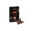 Stamford 37482 Dragon Fire Incense Backflow, 12 Cones x 6