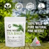 Organic Pine Needle Tea Bags - 100% Pure Natural Dried