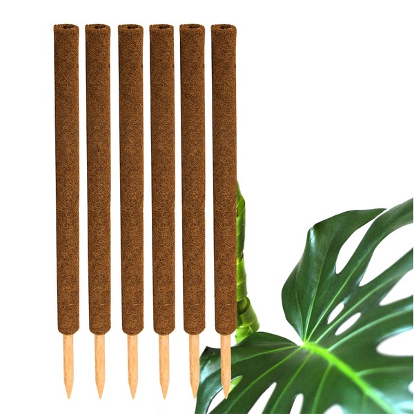BigDean Coconut Plant Stake, 80 cm, Twining Rod, Coco Fibre