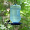 Perky-Pet 780 Water Cooler Bird Waterer , Blue , 1.5