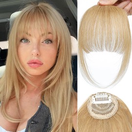 Clip in Bangs 100% Real Human Hair Fake Bangs Hair Clip on Bangs for Women Wispy Bangs Clip in Fringe for Daily Wear