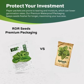 Heirloom Viroflay Spinach Seeds for Planting - 500 Seeds - Heirloom, Non-GMO, USA Grown, Premium Waterproof Protective Packaging by RDR Seeds