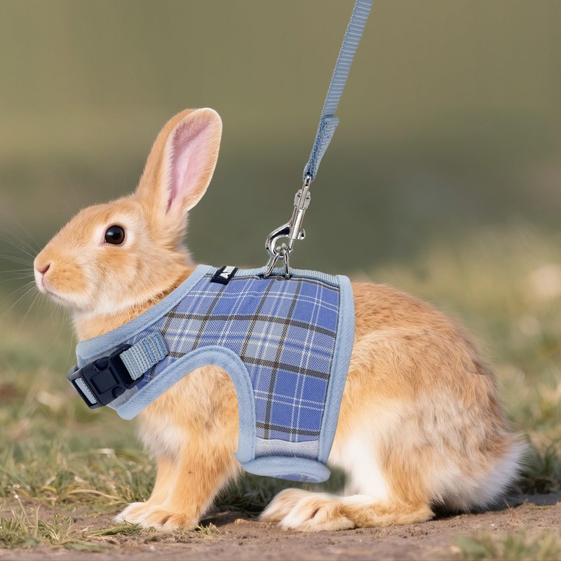 AIITLE Breathable Rabbit Harness and Leash Set - Plaid Pattern