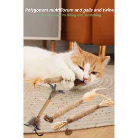 Kamanda Cat Toys, 8Pcs Silvervine Cat Toy, Silvervine Sticks Cat Toys for Indoor Cats, Cat Kitten Chew Toys for Aggressive Chewers, Cat Dental Toy for Kitten Teeth Cleaning, Matatabi for Cats