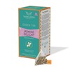 TeaNOURISH Jasmine Delight Green Tea | 20 Count Pyramid Tea