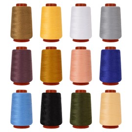 12PCS Sewing Thread Kit 30wt Spools,12 Colors,Assorted Colors Each 800 Yards of Polyester Threads for Sewing Hand and Machine,Stitching, Quilting, Serger (ZH-12PCSYMXBZ)