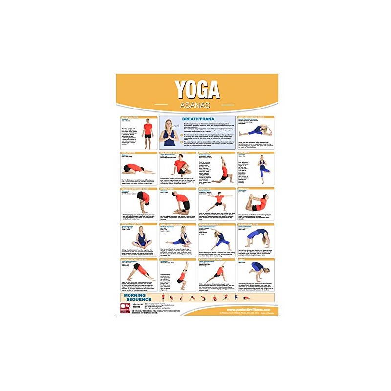 Productive Fitness Home Gym Fitness Chart Poster Series Yoga Exercises