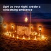TomCare Solar Metal Flickering Flame Torches Waterproof Outdoor Heavy Duty