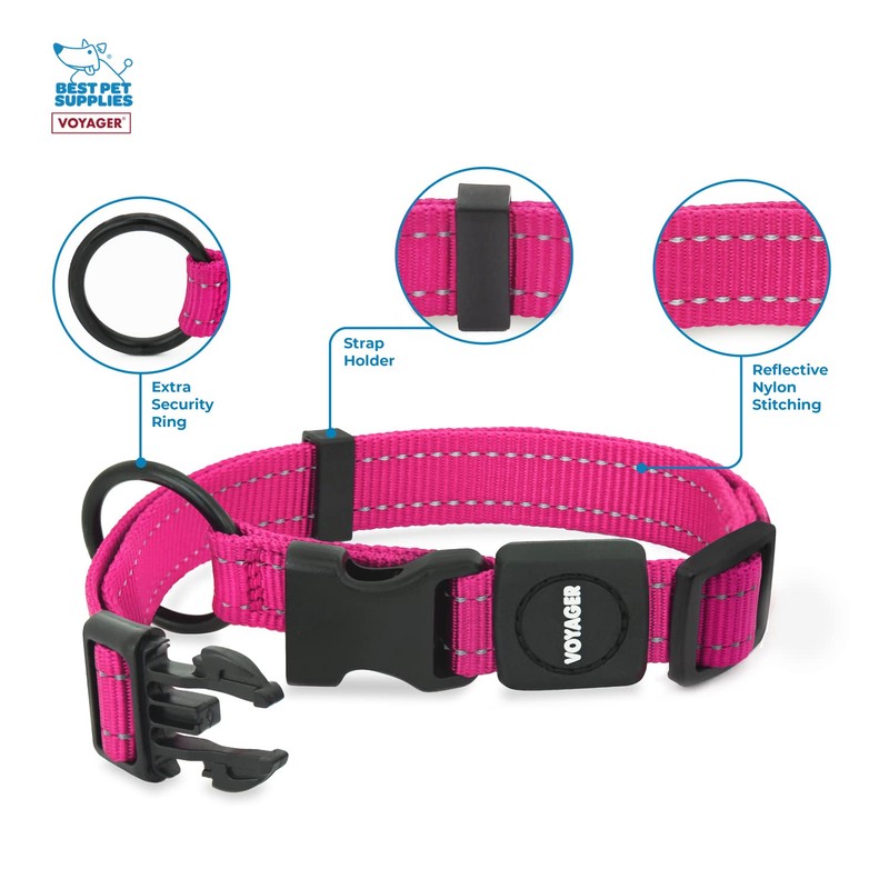 Best Pet Supplies Voyager Reflective Dog Leash or Collar with