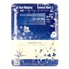 Natural Mapping Essence Mask Pack - Aloe 25g x 10 sheets 10ea