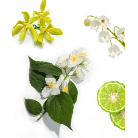 Aromaplan Hotel,Home Luxury Scents,Fresh Linen 5.07 Fl Oz (150ml) | Fragrance for Cold Air & Waterless Diffuser Oil | Home Luxury & Hotel Scent for Aromatherapy-USA Made,Bigger Bottle & Longer Lasting