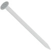 Hillman Fastener 42074 Ss Trim Nail, 1-1/4", White 6 oz