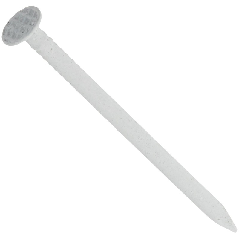 Hillman Fastener 42074 Ss Trim Nail, 1-1/4", White 6 oz