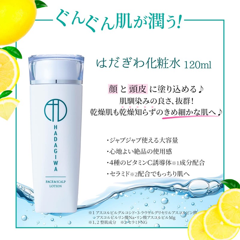 Hadagiwa Cleansing Niacinamide Serum Lotion Set