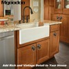 Mgoodoo 5pcs Drawer Lion Head Pull Handle Knob Dresser Cabinet
