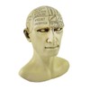 Things2Die4 Creepy Cast Resin Phrenology Head Victorian Steampunk