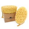 myHomeBody Bath Sponge, Foam Loofah, Body Scrubber for Bathing, Exfoliating