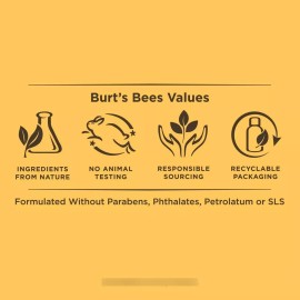Burt's Bees Burts Bees Bb Cream With Spf 15, Light, 1.7 Oz (package May