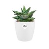 elho Brussels Round Mini 9.5 - Flower Pot for Indoor