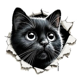 GRAZDesign Wall Tattoo Cat 3D Effect Wall Sticker for Living Room Cat Motif for Wall Decoration, Easy to Apply Gift for Animal Lovers - 42 x 40 cm