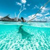 PolarPro - GoPro HERO 9/10/11/12 - Fifty-Fifty Dome - Marine-grade