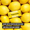Peppersmith 100% Xylitol Mints, Sicilian Lemon and Fine English Peppermint,