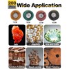 Rocaris 80Pcs 1" (25mm) Abrasive Wheel Buffing Polishing Wheel Set