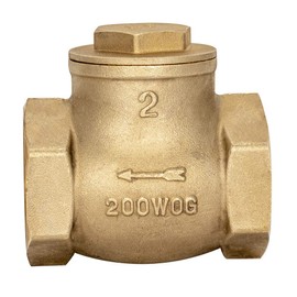 Eastman Brass Swing Check Valve, 2 Inch IPS, Brass Plumbing Fitting, 20431LF