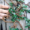 10pcs Mini Vine Heart Wreaths Rustic Theme for Weddings, Baby