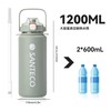 SANTECO Vacuum Insulated Sports Bottle, 3.2 gal (1.2 L), Removable