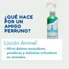 3 Piezas Animel Loción – Aceite Esencial Natural para Alivio