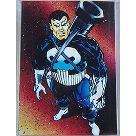 Punisher The War Journal Entry Trading Card Set