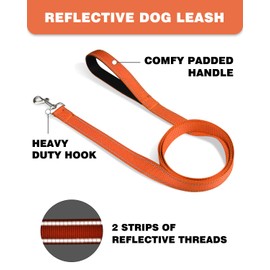 Erbine 6FT Reflective Nylon Dog Leash with Soft Padded Handle for Walking, Running and Training, Supports Small Medium and Large Dogs (Orange, 3/4Inch Wide)