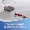 BISSELL Heavy Traffic Carpet Foam, Gain, 22oz (Pack of 4),