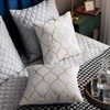 DEZENE Gold Velvet Throw Pillow Covers Off White: 2 Pack